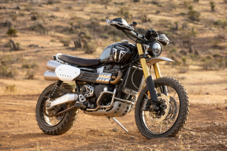 To Triumph Scrambler 1200 XE στον αγώνα Norra Mexican 1000